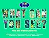 What Can You See?: Find the Hidden Pictures (Colorcards)
