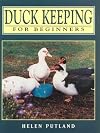 Duck keeping for beginners