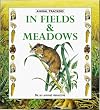 Animal Trackers In Fields & Meadows