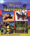 What Is a Biome?
