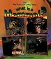 What Is a Mammal?