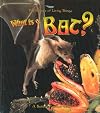 What Is a Bat?