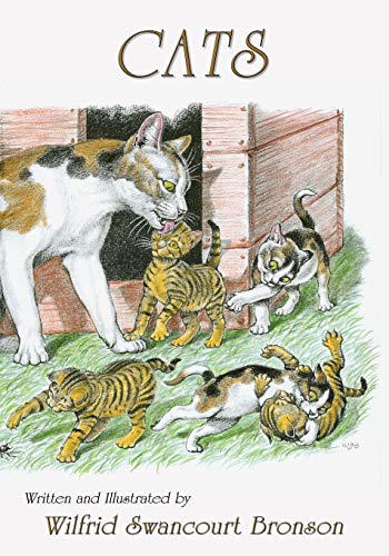 Cover of Cats