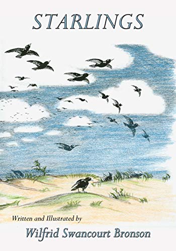 Cover of Starlings