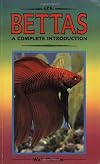 Bettas: A Complete Introduction