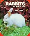Rabbits As a New Pet