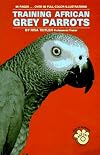 Training African Grey Parrots