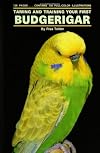 Taming and Training Your First Budgerigar