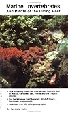 Marine Invertebrates and Plants of the Living Reef