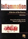 Inflammation: A Review of the Process
