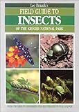 Field Guide To Insects Of Kruger National Park
