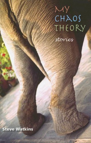 My Chaos Theory book cover