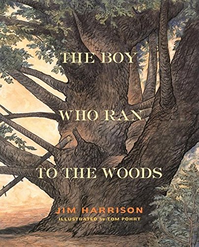 The Boy Who Ran to the Woods book cover