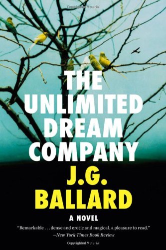 The Unlimited Dream Company book cover