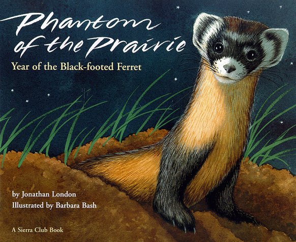 Phantom of the Prairie book cover