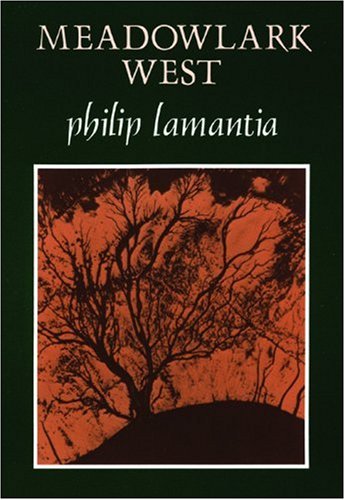 The First Third book cover