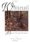 Whitetail: Behavior Through the Seasons