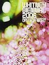 Whitney Biennial 2006: Day for Night