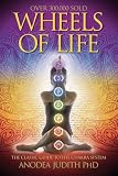 Wheels Of Life A Users Guide To The Chakra System