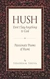 Hush Dont Say Anything To God Passionate Poems Of Rumi
