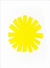 Shannon Ebner: The Sun as Error