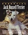 The Essential Jack Russell Terrier