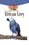 The African Grey