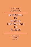 Burning In Water Drowning In Flame