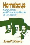 Homeboys: Gangs, Drugs, and the Prison in the Barrios of Los Angeles