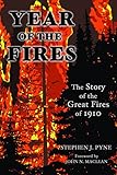 Year Of The Fires The Story Of The Great Fires Of 1910