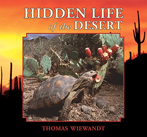 Cover of Hidden life of the desert