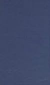 Seeing Islam as Others Saw It: A Survey and Evaluation of Christian, Jewish and Zoroastrian Writings on Early Islam