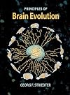 Principles of Brain Evolution