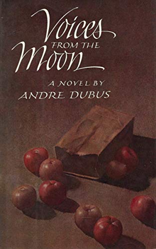 Voices From The Moon book cover
