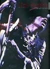 Jimi Hendrix Musician