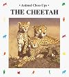 The Cheetah: Fast as Lightning (Animal Close-Ups)