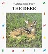 The Deer (Animal Close-Ups)