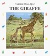 The Giraffe: A Living Tower (Animal Close-Ups)