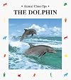 The Dolphin: Prince of the Waves (Animal Close-Ups)