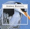 Animal Bandits (Curious Creatures)