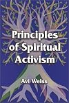 Principles of Spiritual Activism