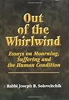 Out of the whirlwind : essays on mourning, suffering and the human condition