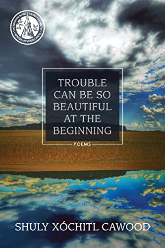 Trouble Can Be So Beautiful at the Beginning book cover