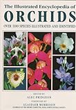 The Illustrated Encyclopedia Of Orchids
