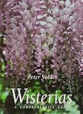 Wisterias A Comprehensive Guide