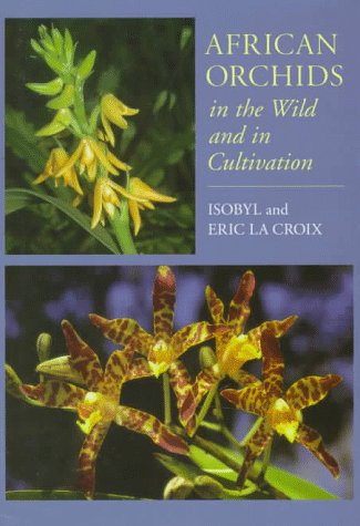 African Orchids in the Wild and in Cultivation