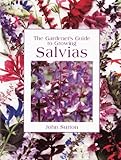 The Gardeners Guide To Growing Salvias