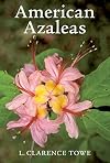American Azaleas