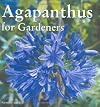 Agapanthus for Gardeners