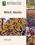 Witch Hazels